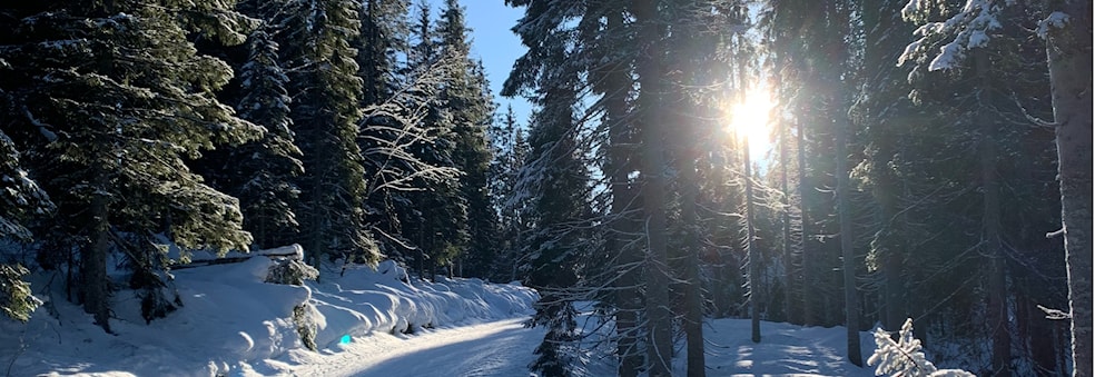 Bli med å ake med oss! Come sledding with us!